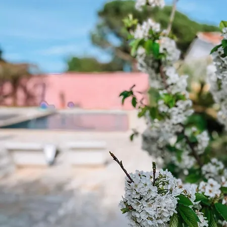 Villa Vila Provencale, Piscine, Climatisation, Parking, Proche Village Ideal Famille *